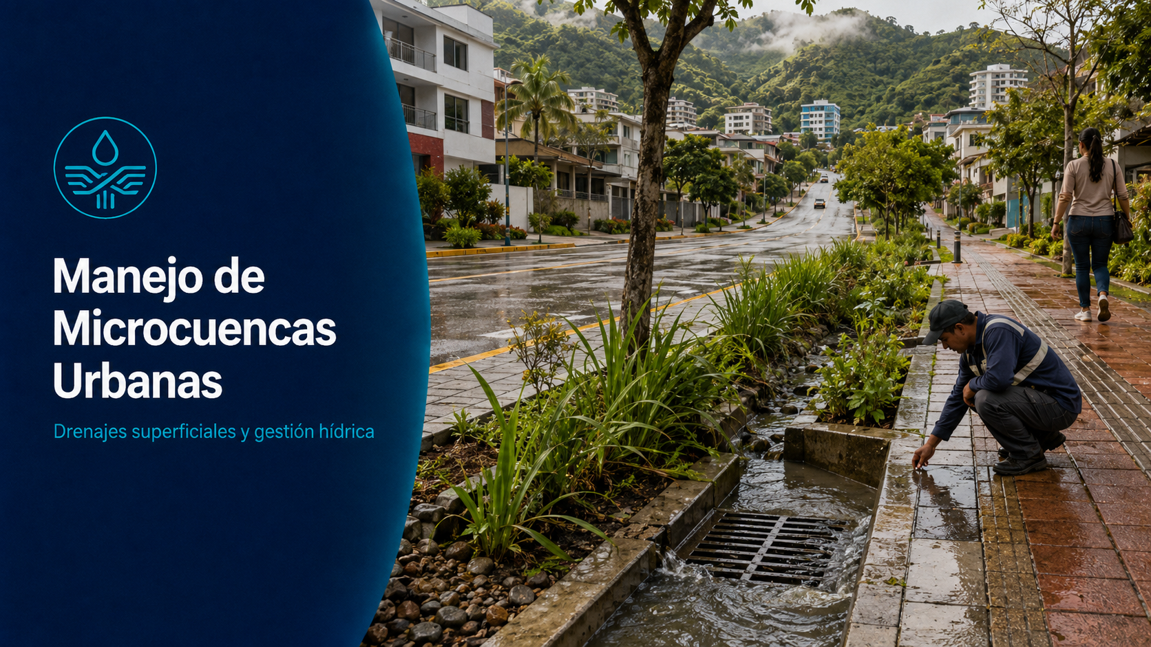 Manejo de Microcuencas Urbanas y Drenajes Superficiales
