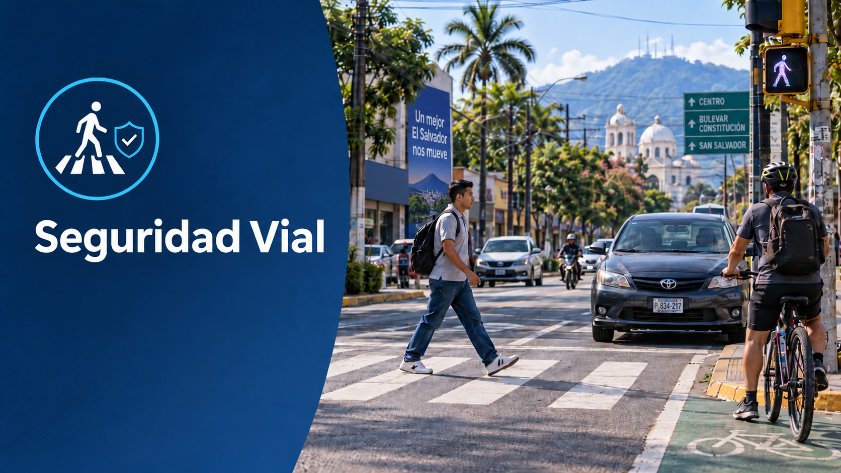 Seguridad Vial